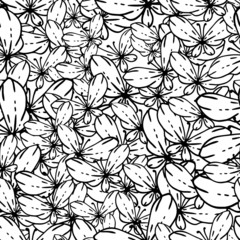 Seamless black and white vector pattern with butterflies
