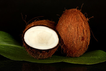 coconuts on black background close-up