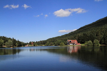 Fototapete bei efototapeten.de bestellen   