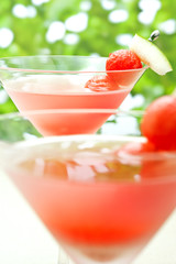 Watermelon Martini