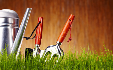 Autumn garden tools background