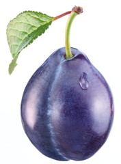 Plum with a leaf