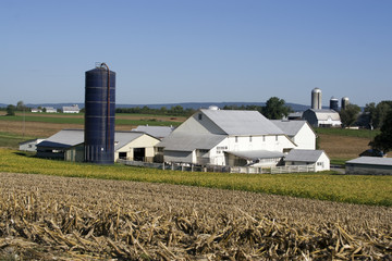Fototapeta na wymiar Amish farm