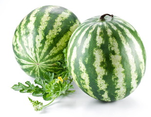 Two watermelons with a leaves