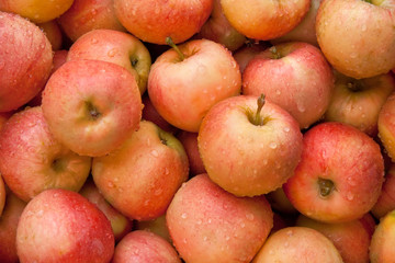Fresh Organic Red Apples