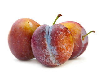 Plum fruit