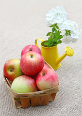 Small basket of apples and bouquet of white phloxes on a canvas