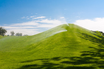 Green sloping meadows