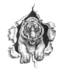 Papier Peint photo autocollant Tigre Pencil drawing of a tiger