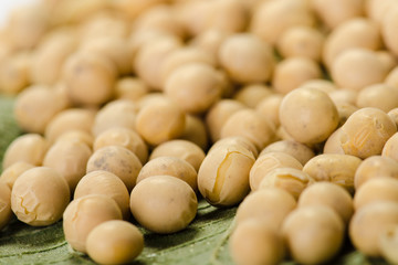 Soybeans