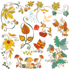 Vector set of decorative Autumn branches, leaves - for scrapbook