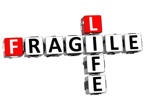 3D Fragile Life Crossword