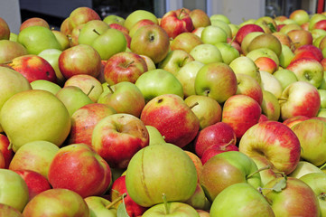 Äpfel