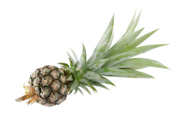 Fototapeta premium fresh fruits