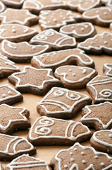 Different Shapes of Gingerbread Cookies