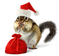 Chipmunk in red Santa Claus hat with Santas bag