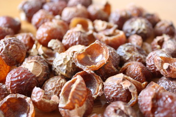 soapnuts