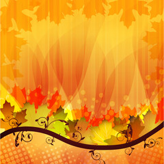 Fall leafs abstract background
