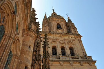 Cathedral of Salamanca