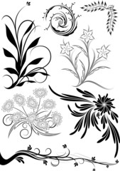 Collection of decorative elements
