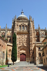 Cathedral of Salamanca - 44624308