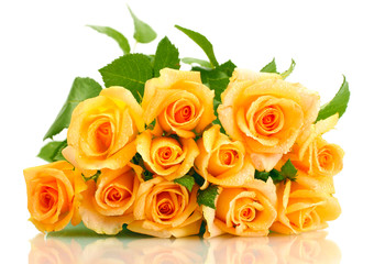 beautiful bouquet of roses isolated on white