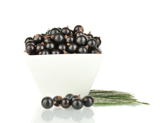 Fresh black currant in white bowl isolated on white