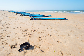 Surfboards lying on a beach in summer