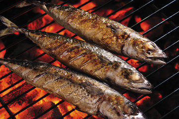 grilled fishs  on the grill ,(saba)