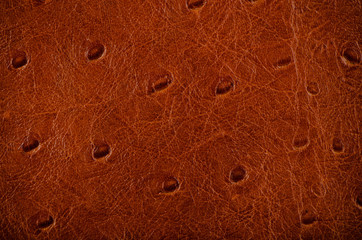 Natural brown leather