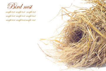 Bird nest on white background