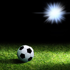 Fototapeta premium Piłka nożna na trawie