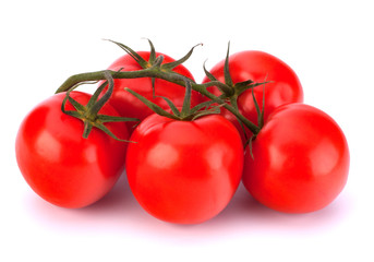 branch of tomato isolated on white