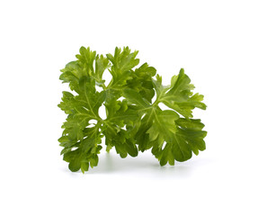 parsley closeup isolated on white background