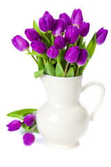 purple tulips