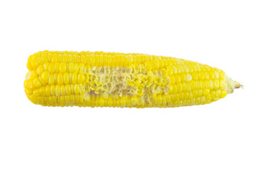 Boiled corn isolated on white background.