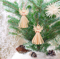 Fir (Abies koreana) - Christmas decoration