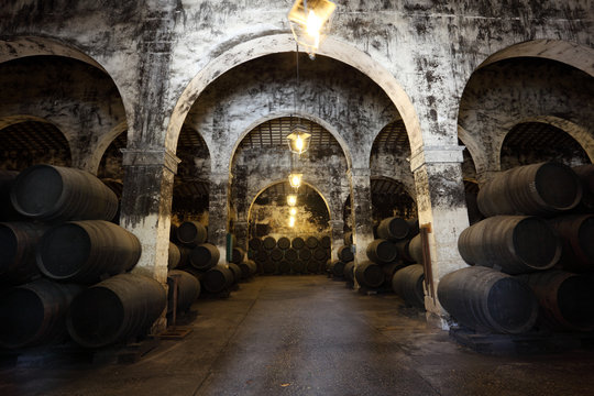 Ancient wine cellar with wooden wine barrels