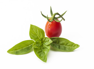 cherry tomato with basil on white background