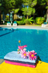 Fototapeta na wymiar silk flowers near swimming pool