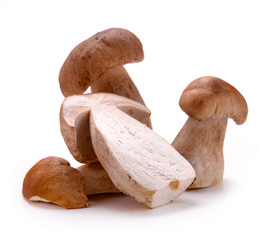 ceps mushrooms