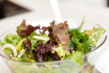 fresh salad