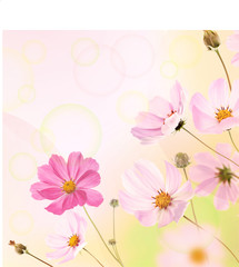 Obraz na płótnie Canvas Beautiful Flowers Border.Floral design