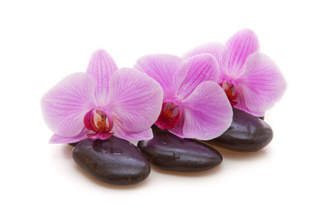 Obraz na płótnie Canvas Massage Stones with Orchid