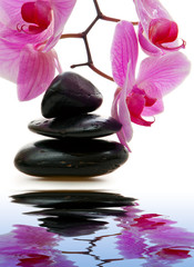 Obraz na płótnie Canvas Massage Stones with Orchid