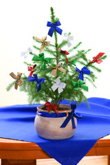 Living spruce tree - Christmas decoration
