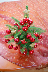 Living spruce tree - Christmas decoration