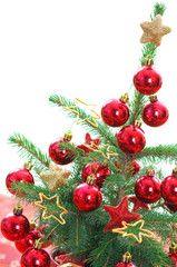 Living spruce tree - Christmas decoration - obrazy, fototapety, plakaty