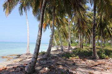 Caribe colombiano. Lo m&aacute;s parecido al para&iacute;so