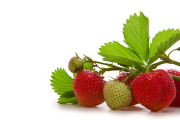 fresh red strawberries  